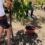 Il Sassoscritto 4* Montecalvo Versiggia