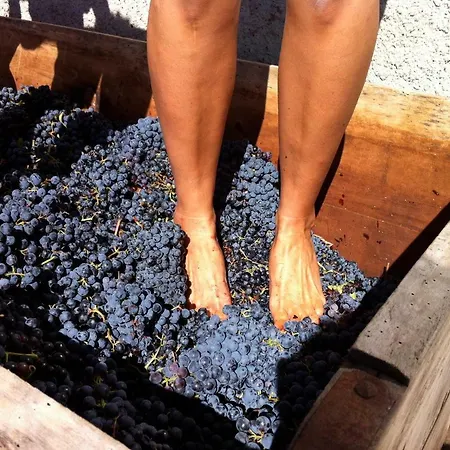Bed & Breakfast Il Sassoscritto Montecalvo Versiggia